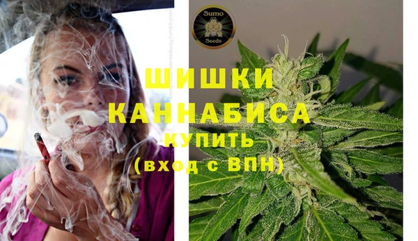 спиды Краснослободск